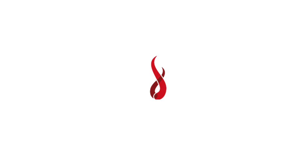 Camina & Schmid Logo